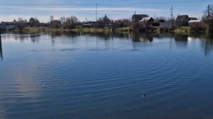 KDF Ладена - отличный выбор для поплавочной ловли!