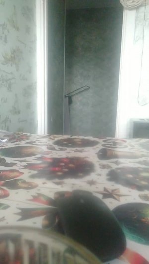 турниры по бравл старсу