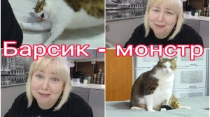 23-04-2026 Не жалко ли денег на ремонт? * Как использовать сушеные овощи?