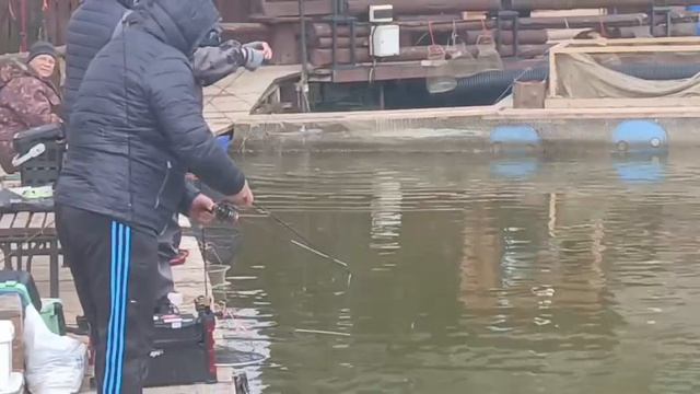 Форель не даёт скучать.