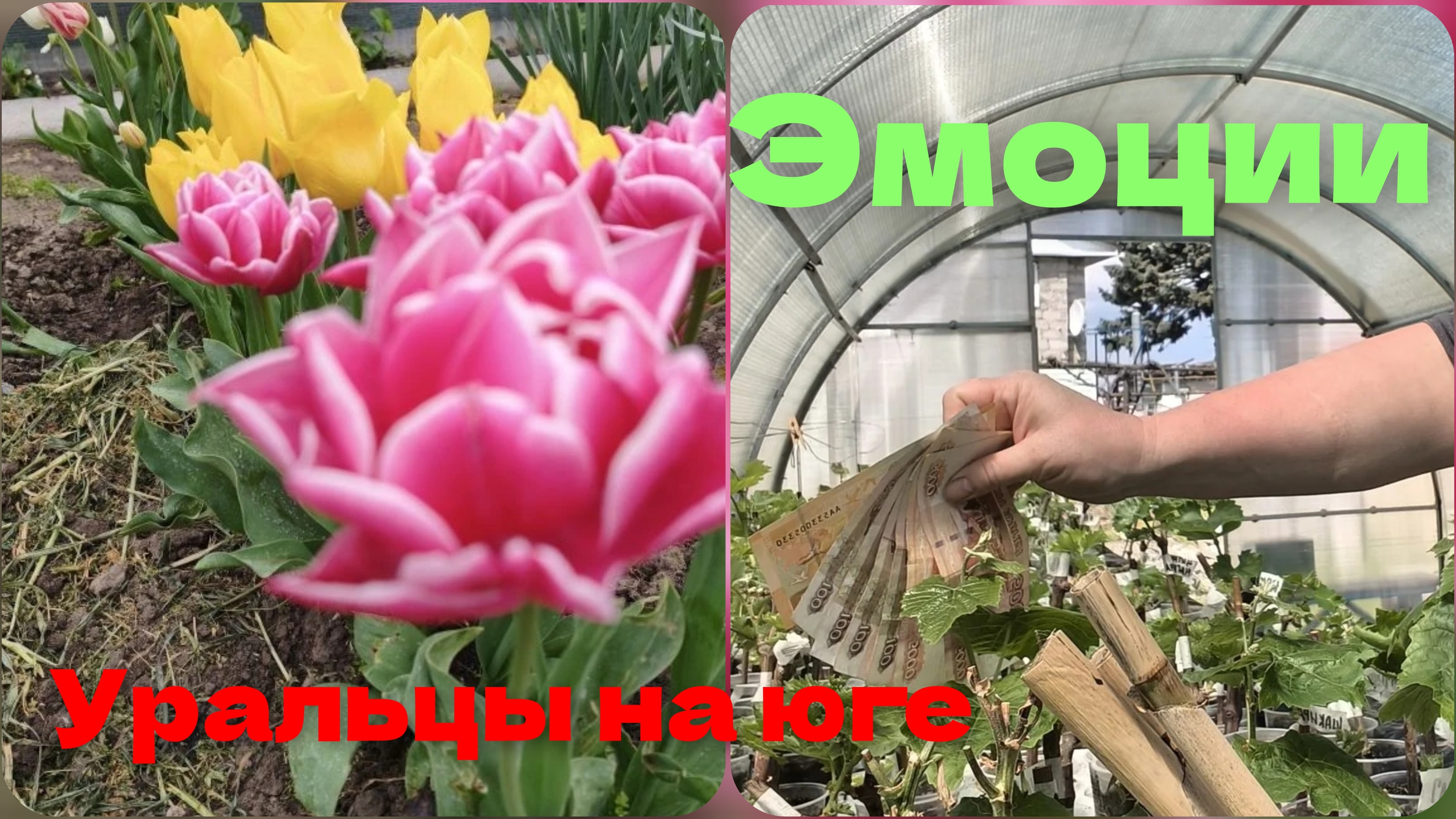 Денежный ритуал.Эмоции