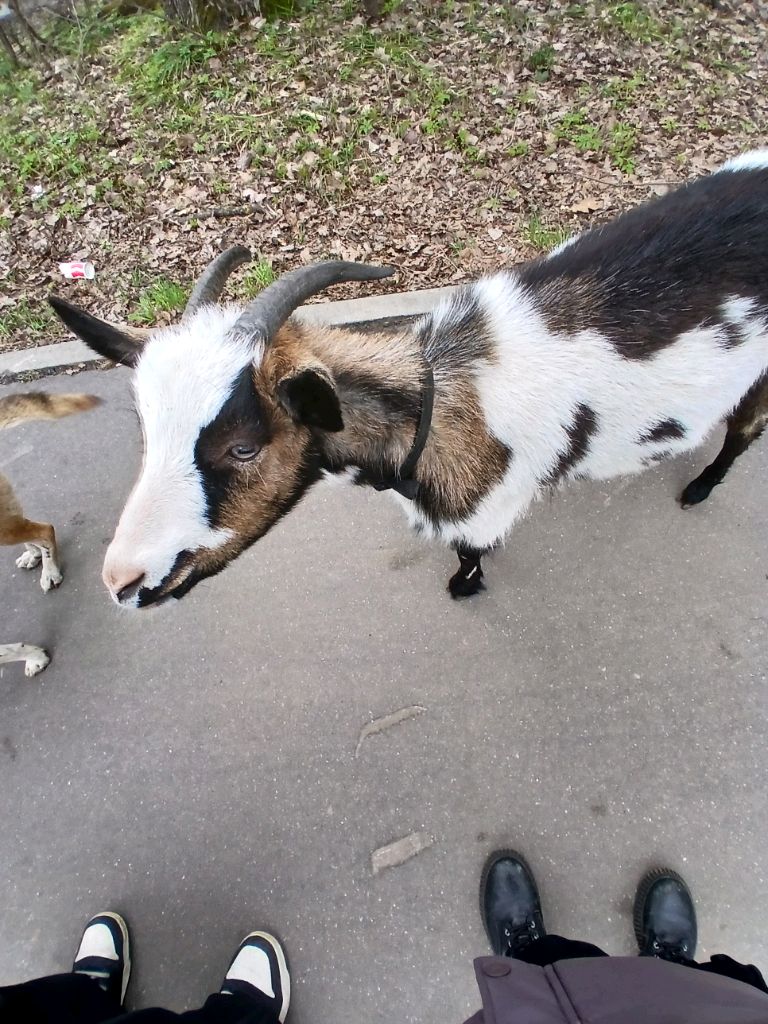 ᴨоᴦоʙоᴩиᴛᴇ ᴄ нᴀʍи