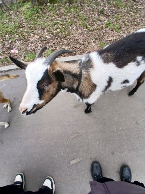 ᴨоᴦоʙоᴩиᴛᴇ ᴄ нᴀʍи