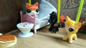 LPS сериал жизнь Насти (4 сезон 2 серия)