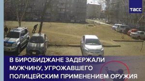 В Биробиджане задержали мужчину, угрожавшего полицейским применением оружия