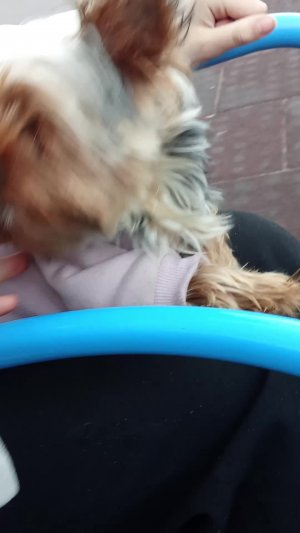 гуляем на аллее