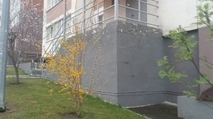 UMAR CHAK**СПАСИБО ВАМ, РОДНЫЕ СЕРДЦА**ДЛЯ МОИХ ДРУЗЕЙ.. ПРОСТО💞💞 ЛУЧШЕЕ ДЛЯ ВАС. ПОСЛУШАЙТЕ СУПЕР