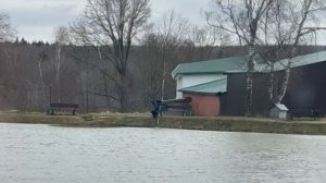 поимка форели