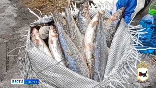 Уголовное дело по факту браконьерстве возбудили в Слюдянском районе в отношении жителя Бурятии