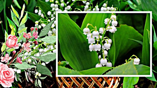 С Днём Рождения 1! Ландышевая Сказка от Киностудии Мудрого Кота Тимофея!!!