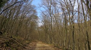 Апрель в Межгорье.