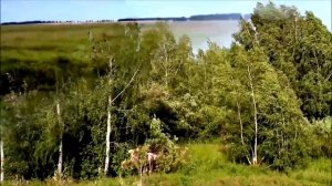 "Солнце по весне"