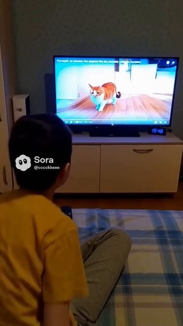 Это LT Из мессенджера MAX.