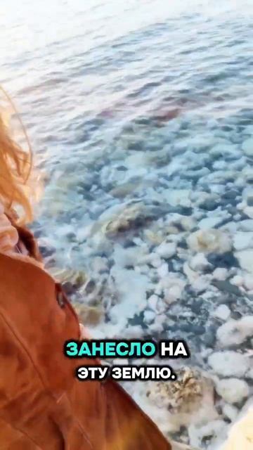 Молодой человек показывает море, и говорит 11 месяц без работы. Я вообще не понимаю, где я нахожусь