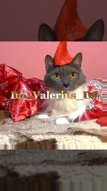 Продолжайте!