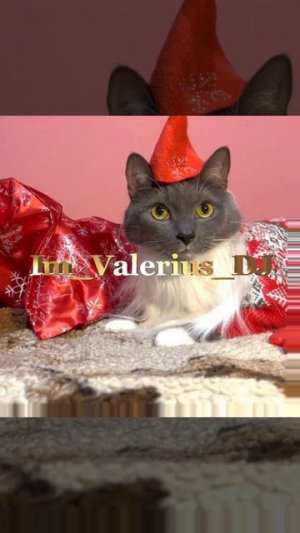 Продолжайте!