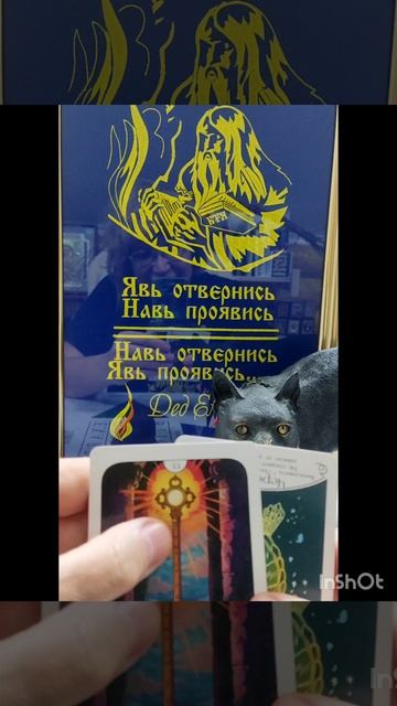 Совет дня🐸 24 апреля🙋#новинка#эзотерика#интересное