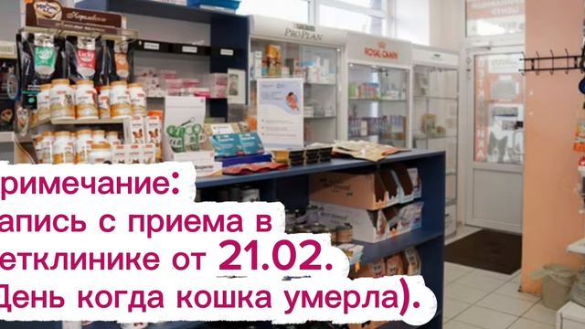 Мы в ответе за тех кого приручили