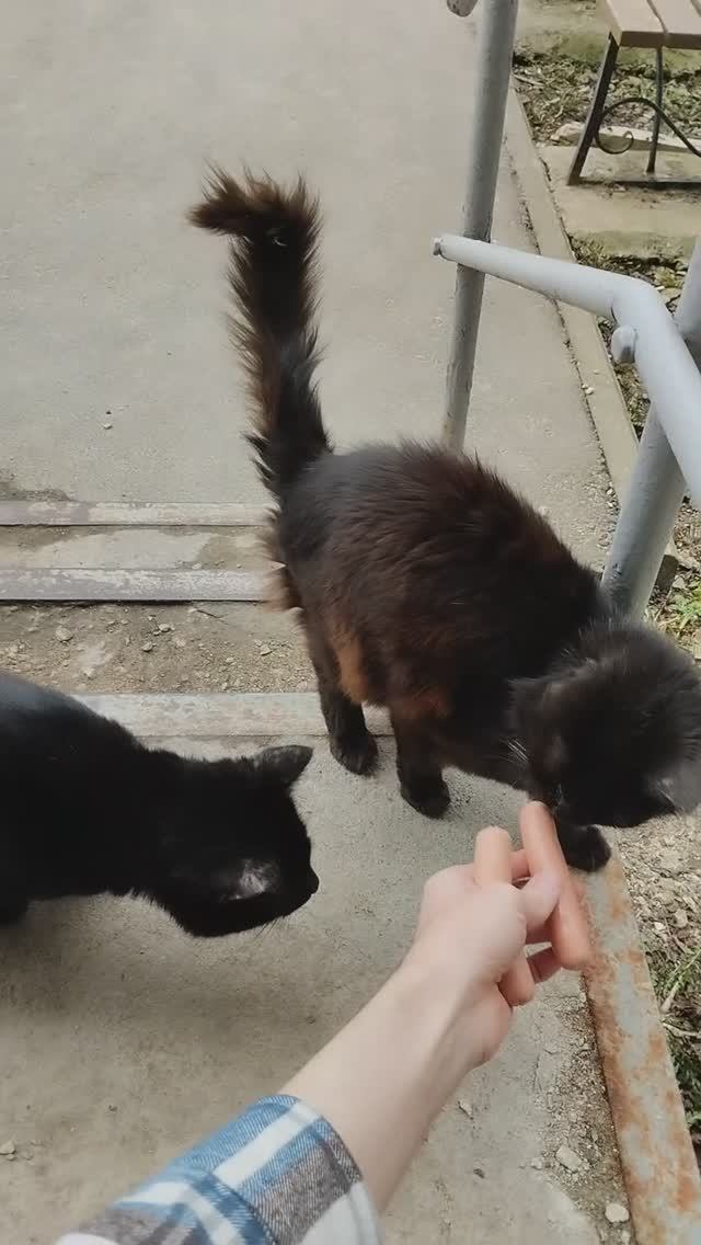 PXL_20260424_165336615