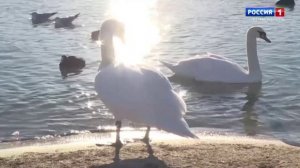 Вести Севастополь. Выпуск 11:30 от 24.04.2026