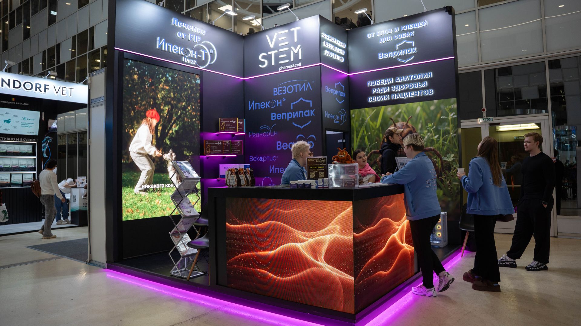 Для котов, которые боятся прививок: компания 