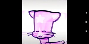 ВЕСЬ ДЕНЬ В КОТАХ!😽