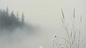 заповедник колтушские высоты спб 2026