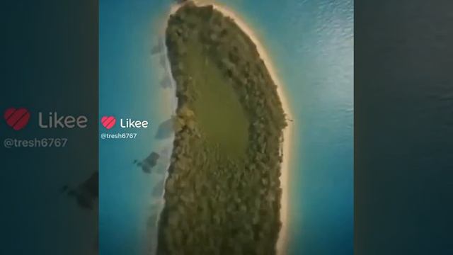 Почему я завëл кота-нибудь собаку