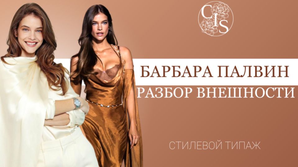 БАРБАРА ПАЛВИН: стилевой типаж по Ларсон