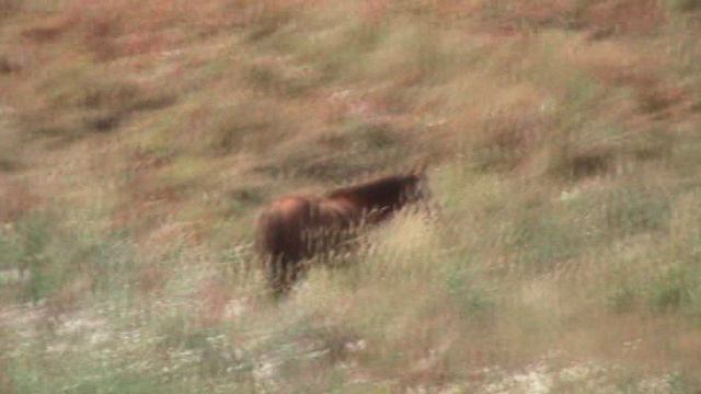 198)й РОЗА ХУТОР