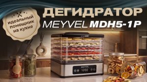 Исходное видео MDH5-1P
