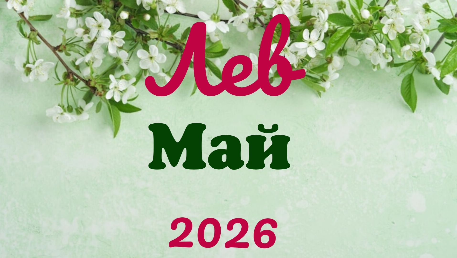 Лев♌Таро-прогноз на Май🕊