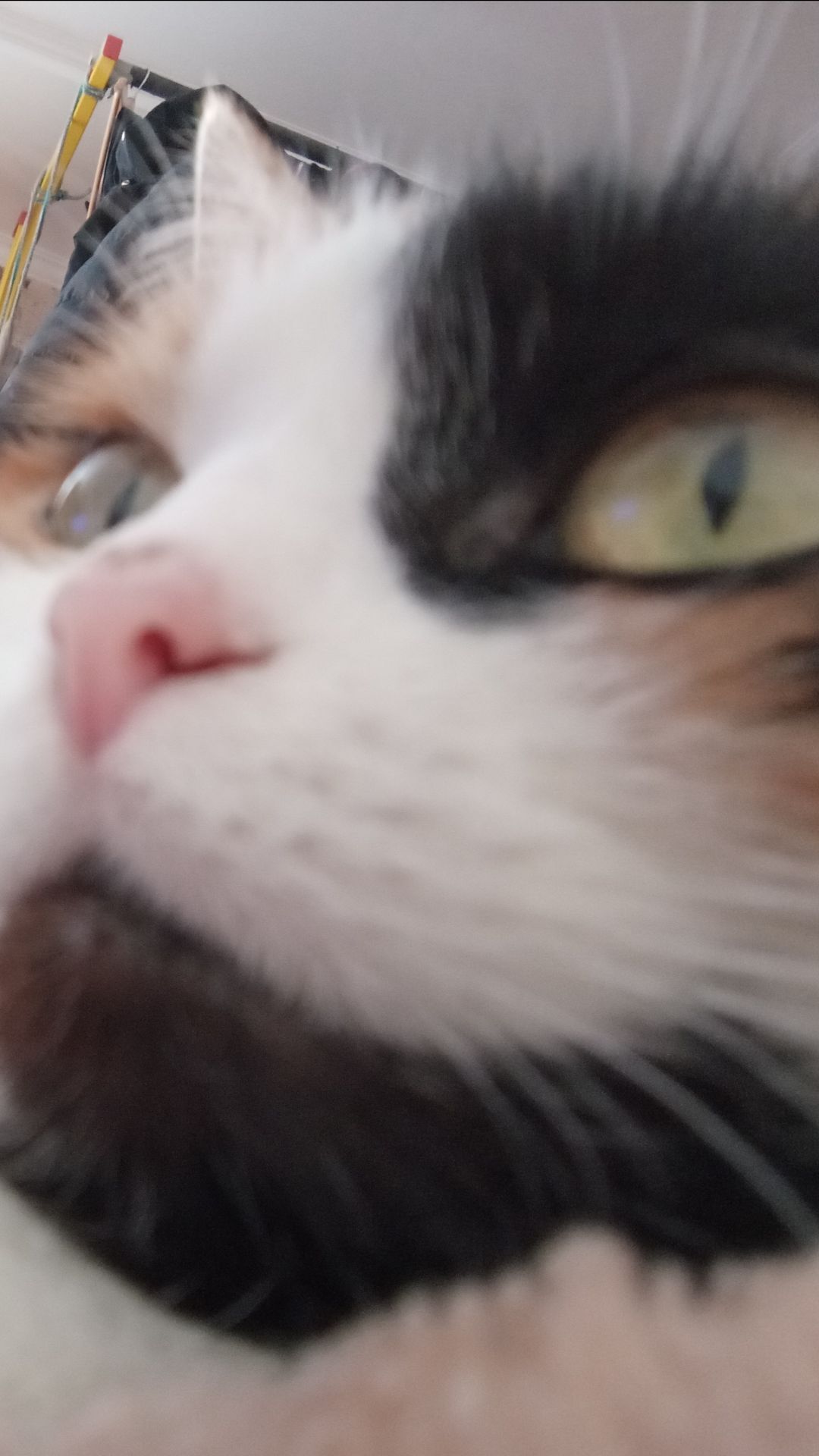 У МЕНЯ ПОЯВИЛСЯ КАНАЛ !