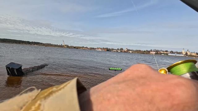 Поклевка Плотвы