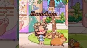 Я и капибара