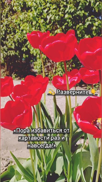 Как улучшить произношение звуков у взрослых и детей