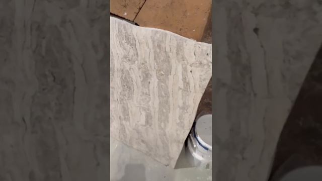 Ответы на вопросы по Скальоле