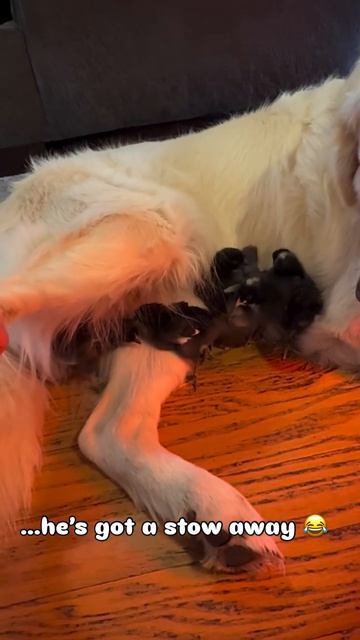 video_2026-03-03_10-07-16