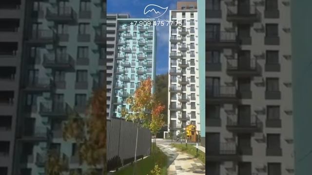 ЖК ЧАЙНЫЕ ХОЛМЫ - СДАННЫЙ ЗАКОННЫЙ БИЗНЕС -КЛАСС ПЕШКОМ ДО МОРЯ  НЕДВИЖИМОСТЬ СОЧИ ДАГОМЫС