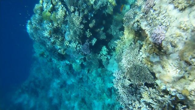 Шарм Эль Шейх