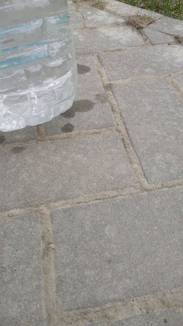 Скважина в Колодце