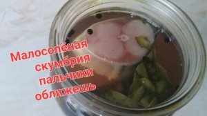 Самый быстрый и вкусный способ засолить скумбрию🐟🐟🐟🐟🐟🐟🐟🐟