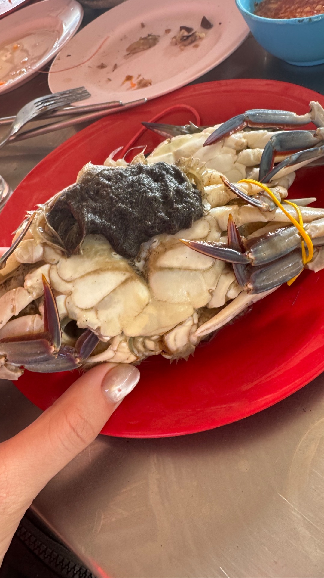 Интересное место в Паттайе, местная забегаловка с безлимитной едой 🙃✨