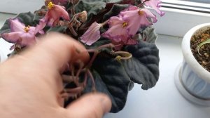 сюрприз за сюрпризом 23 апреля)))готовлюсь к приезду детей😍😍😍