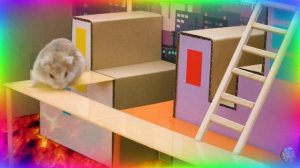 Хомяк-исследователь покоряет мир миньонов! часть 2