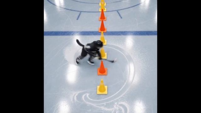 Fury Cats Are On A Roll Again. Hockey