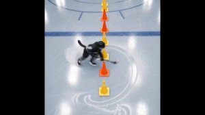 Fury cats are on a roll again. Hockey