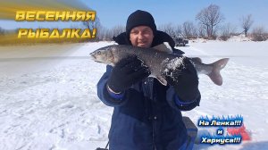 Весенняя Рыбалка Чудесного Апреля!!! На Дальневосточной Реке! Зейского района!!! #хариус #ленок