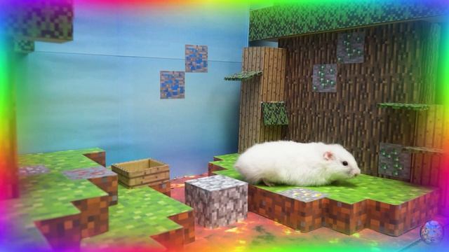 Приключение хомячка поиски сокровищ. Незабываемое приключение! часть 4