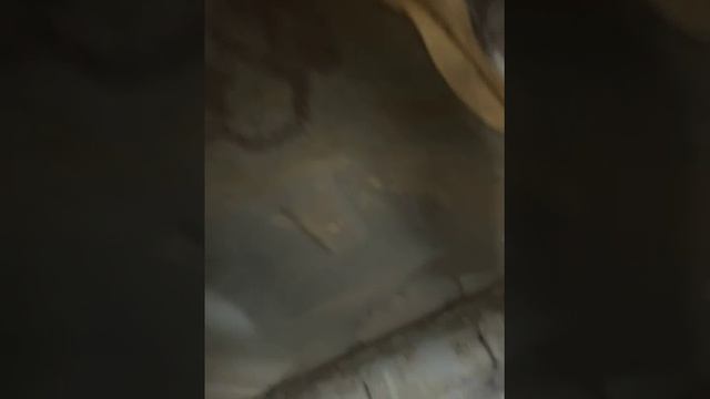 Ремонт задней подвески x-trail t31 2007 пробег 250000